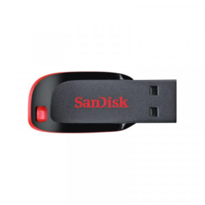 SanDisk Flash Drive