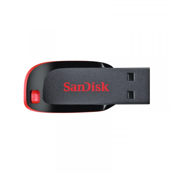 SanDisk Flash Drive